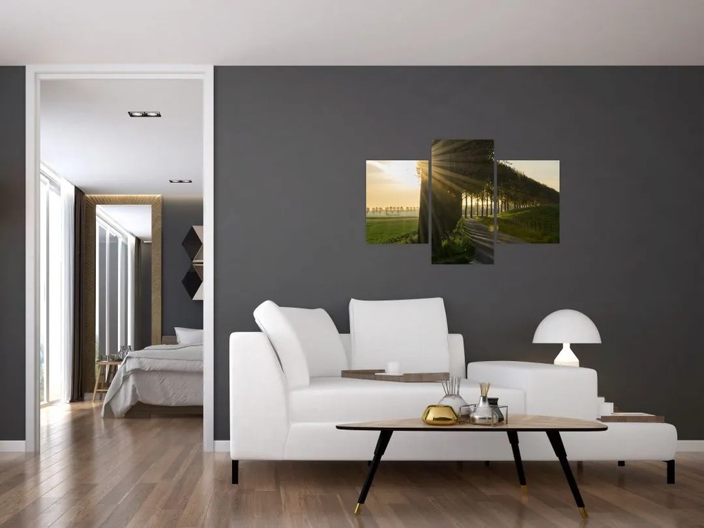 Tablou cu alee (90x60 cm)