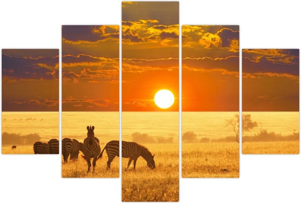 Tablou - Zebre cu apus de soare (150x105 cm)