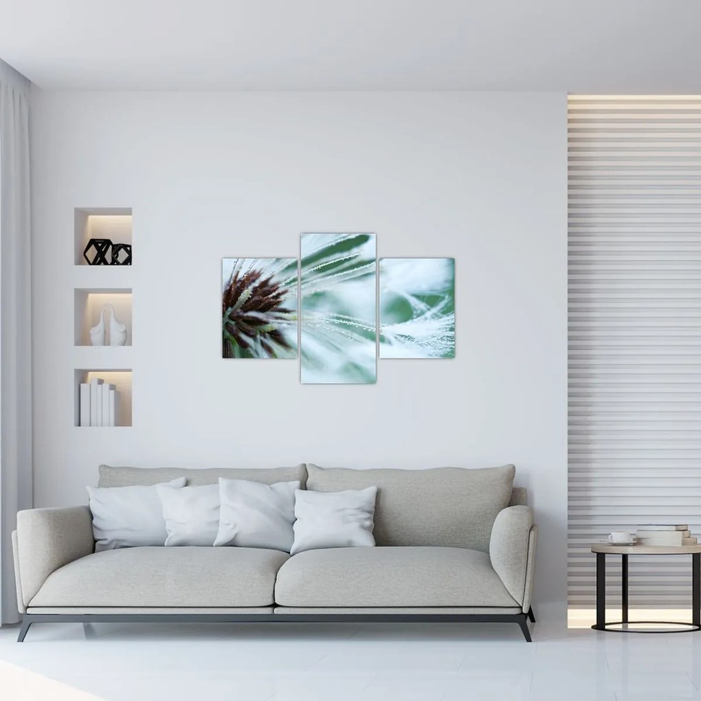 Tablou - Detaliu floare (90x60 cm)