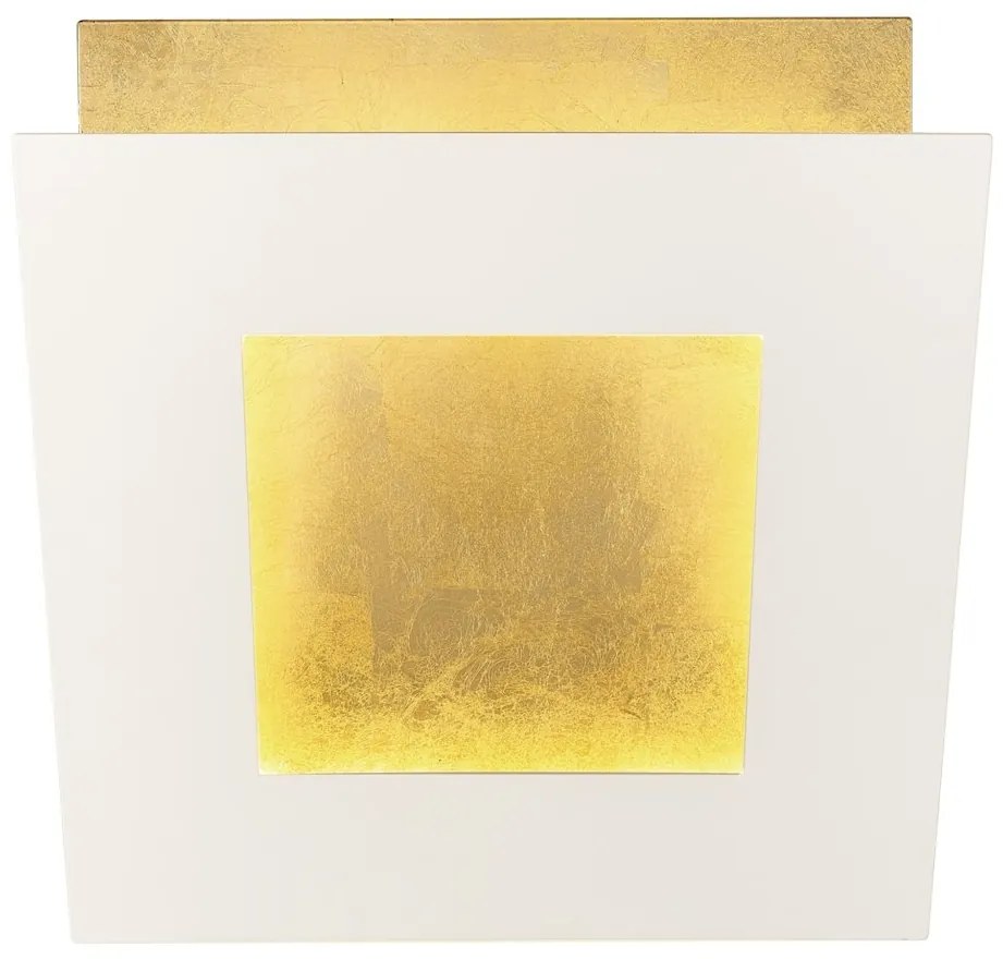 Aplica de perete LED design ambiental DALIA 40x40cm, alb/ auriu