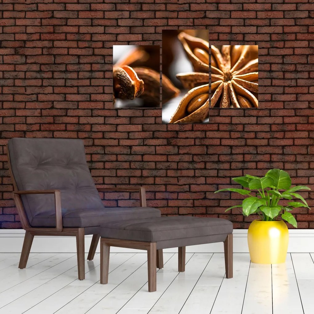 Tablou - Anason (90x60 cm)