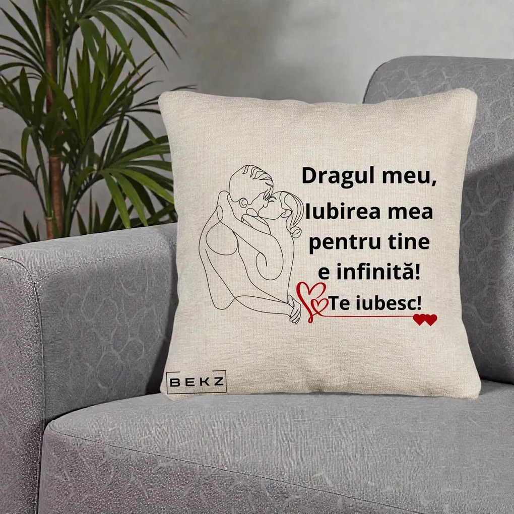 Cadou pentru Iubit - Perna Personalizata Dragul Meu Iubirea Mea pentru Tine e Infinita Te Iubesc, 40x40 cm, Bej Canapea, Husa Detasabila, Perna Inclusa, BEKZ®