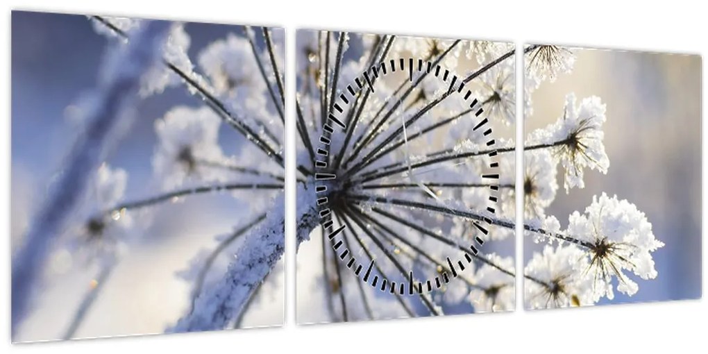 Tablou - Flori înghețate (cu ceas) (90x30 cm)