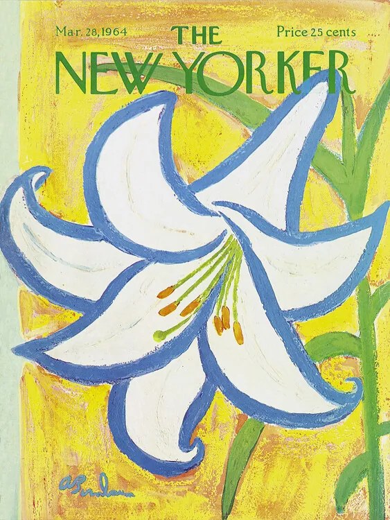 Ilustrație The NY Magazine Cover 242