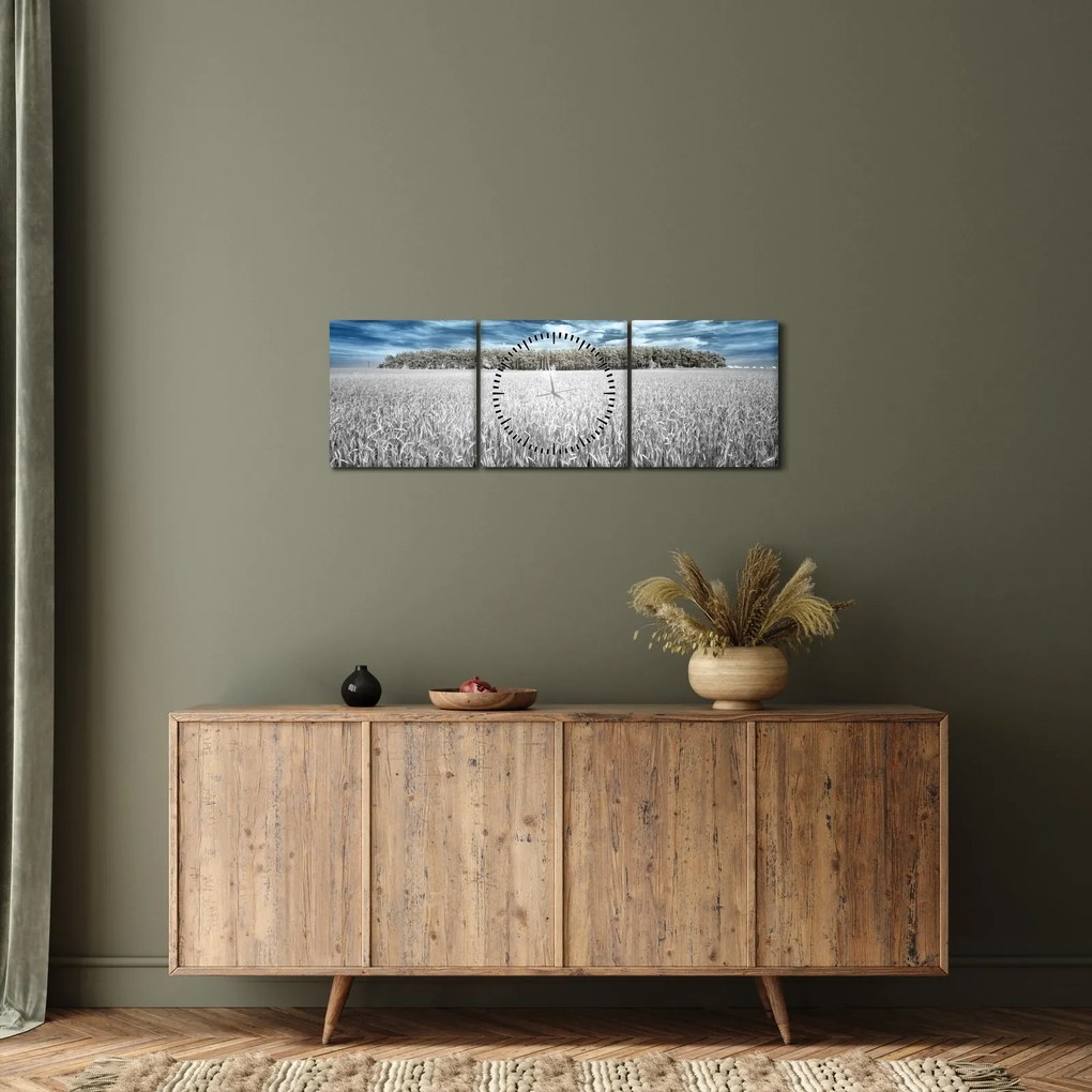 Tablou cu câmp (cu ceas) (90x30 cm)