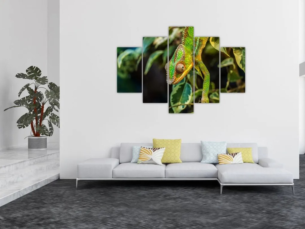 Tablou cu cameleon (150x105 cm)