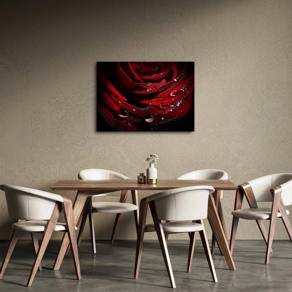 Tablou - Trandafir (70x50 cm)