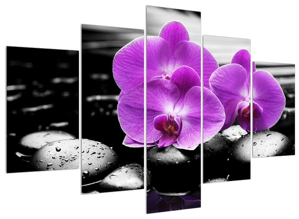 Tablou cu flori de orhidee (150x105 cm)