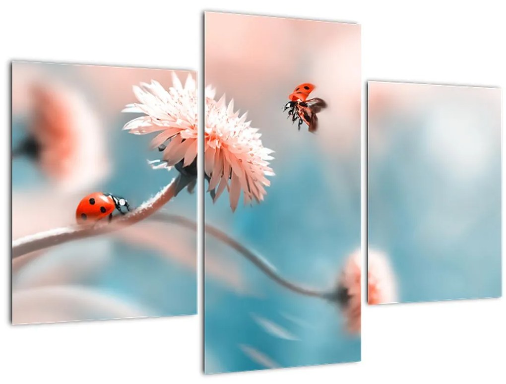 Tablou - Buburuze pe floare (90x60 cm)