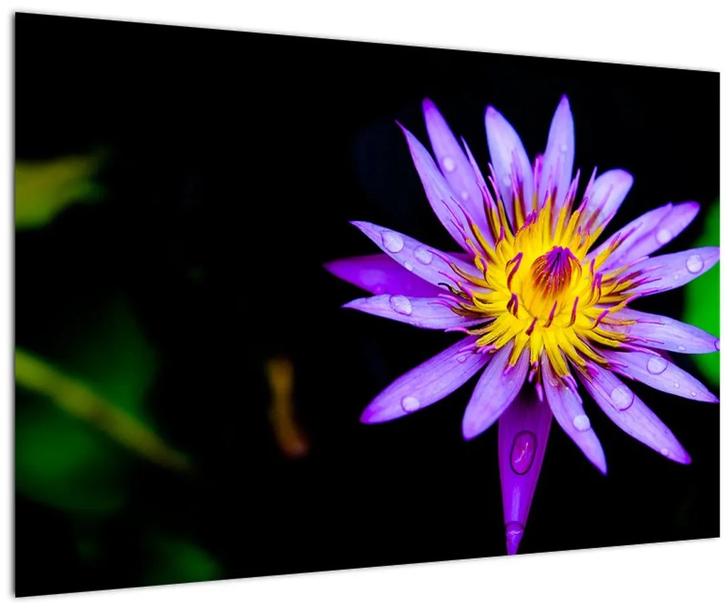 Tablou cu floare (90x60 cm)