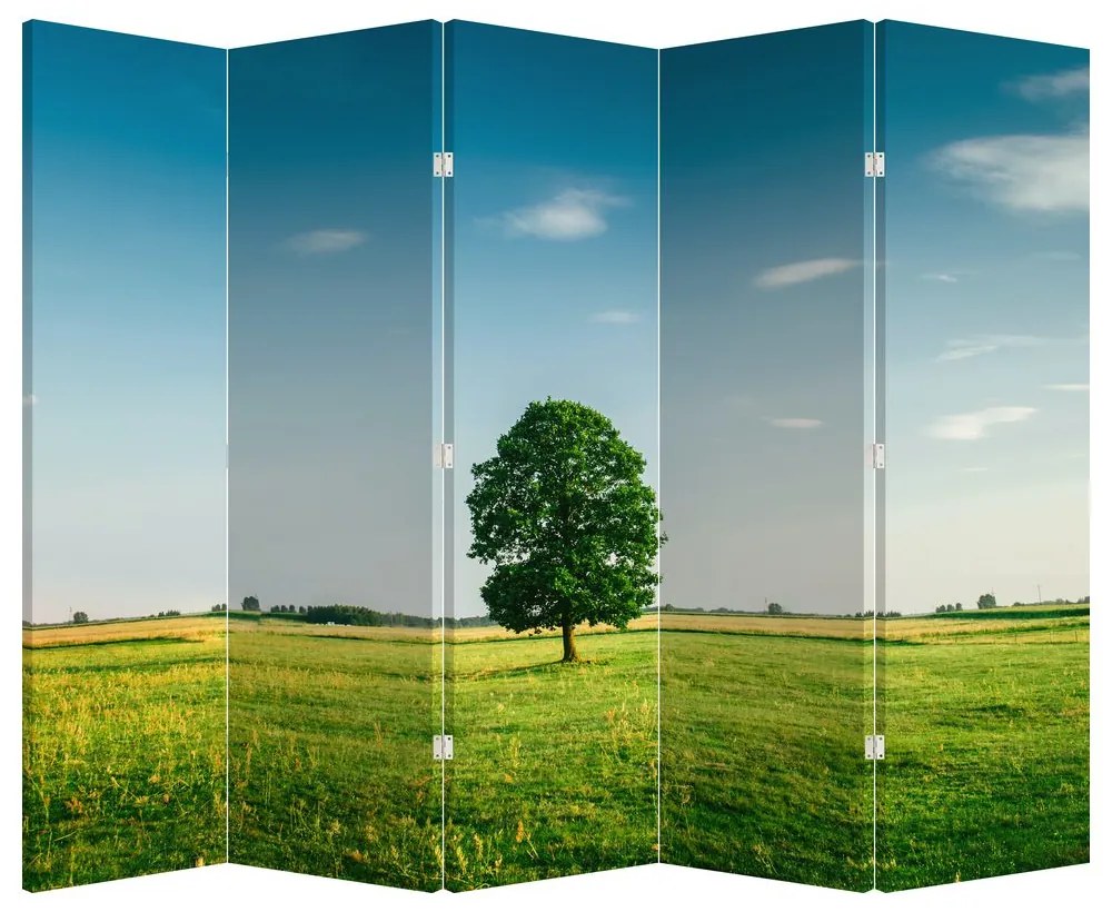 Paravan - Copaci pe luncă (210x170 cm)