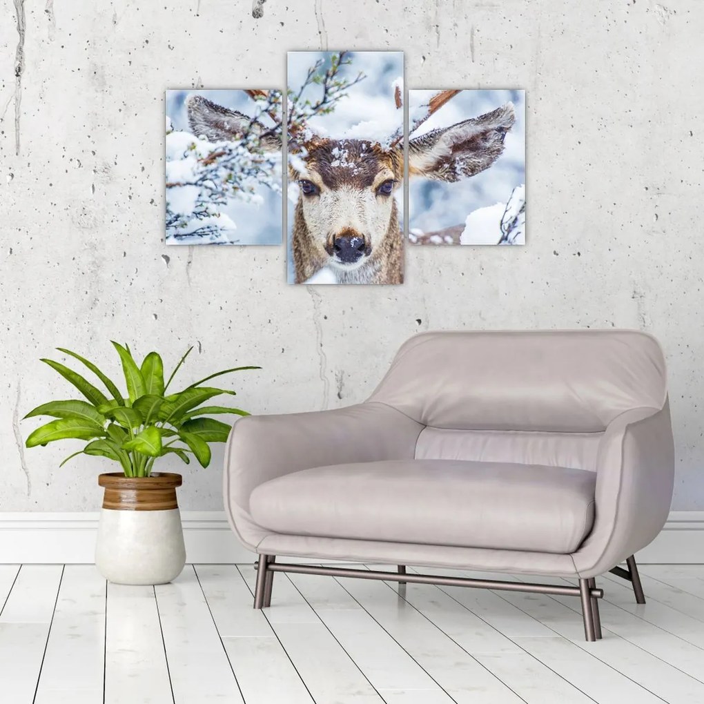 Tablou - Cerbul catâr (90x60 cm)