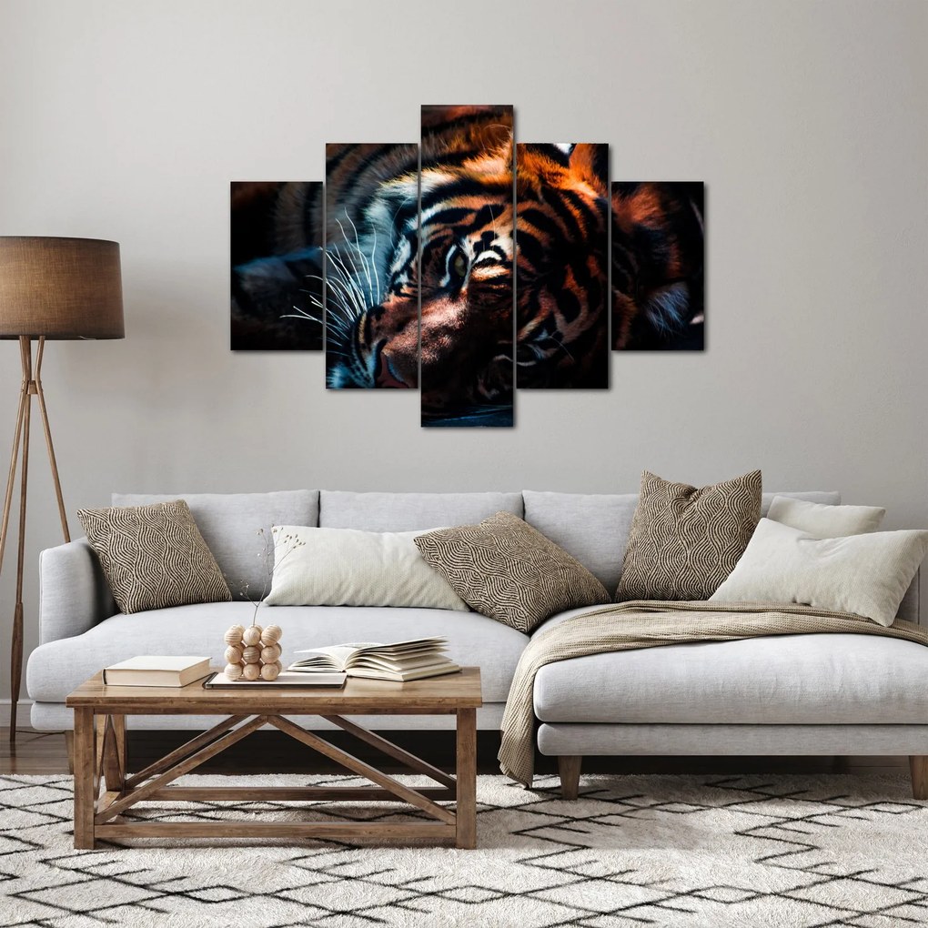 Tablou cu tigrul dormind (150x105 cm)