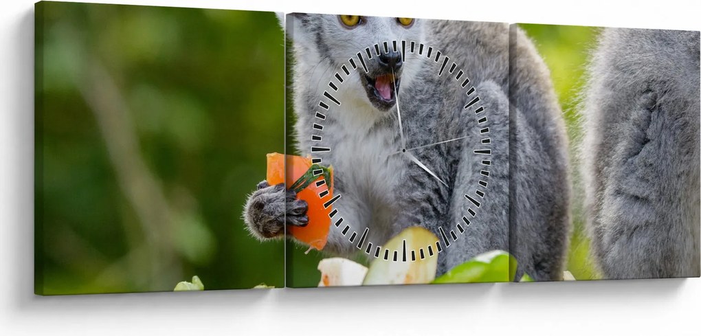 Tablou cu lemur (cu ceas) (90x30 cm)