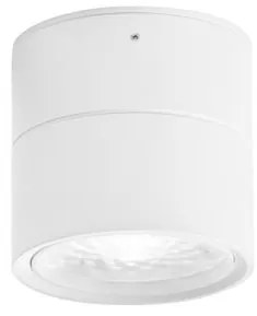 Spot LED aplicat directionabil diametru 8cm PULL alb, NVL-9030771