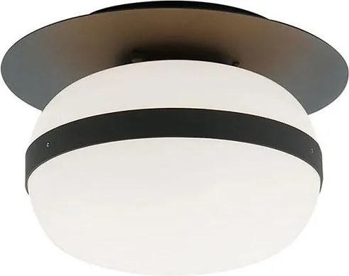Plafonieră PALMA 1xE27/40W/230V neagră