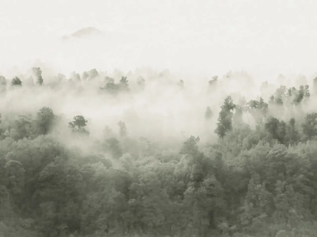 Tapet Misty Woodland, Light Green, Rebel Walls