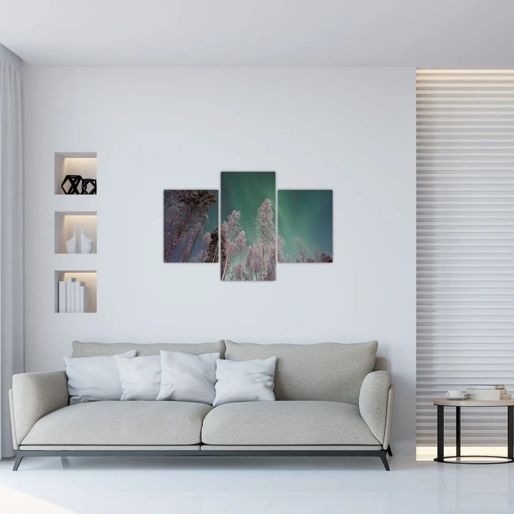 Tablou cu aurora borealis deasupra pomilor înghețați (90x60 cm)