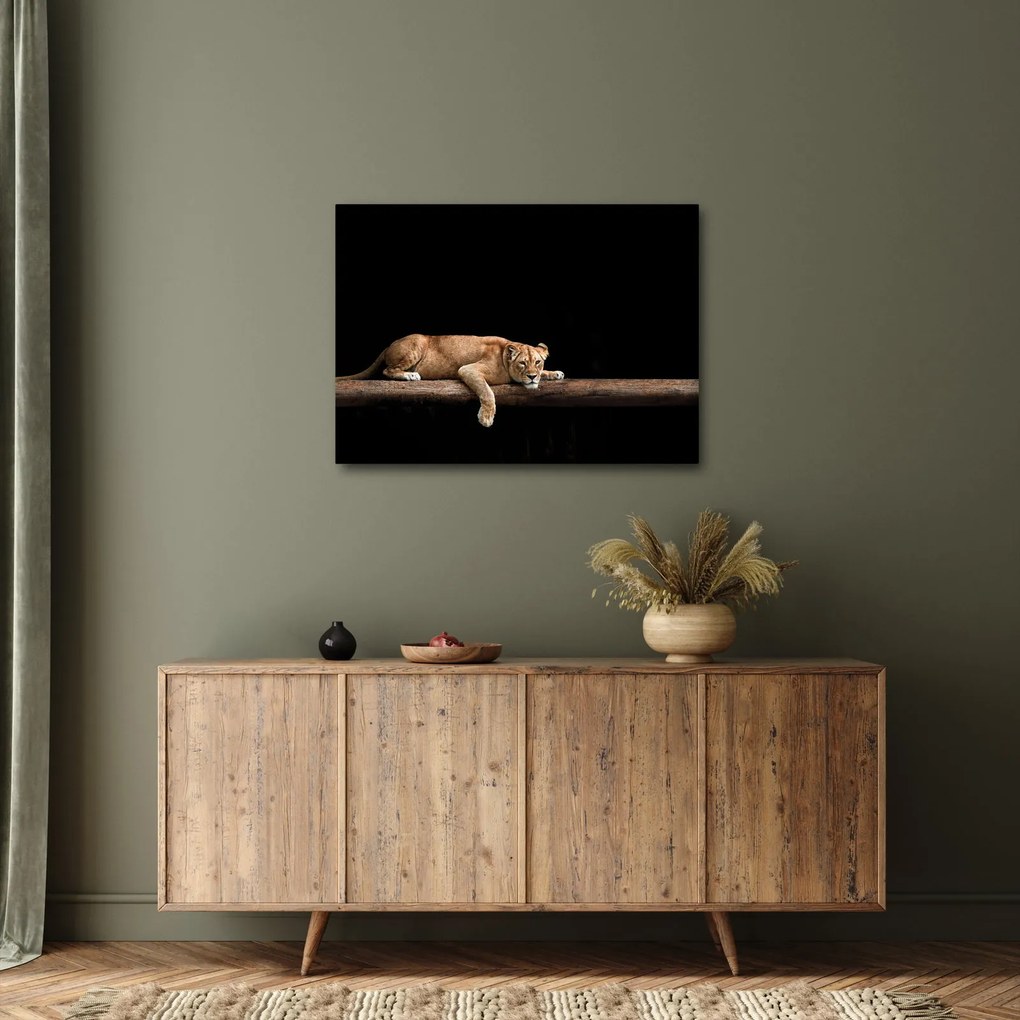 Tablou - Lioness (70x50 cm)