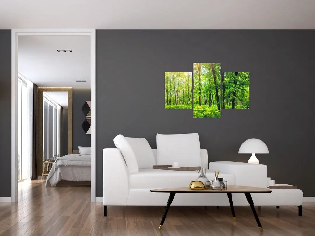 Tablou - Pădurea cu frunze de primăvară (90x60 cm)