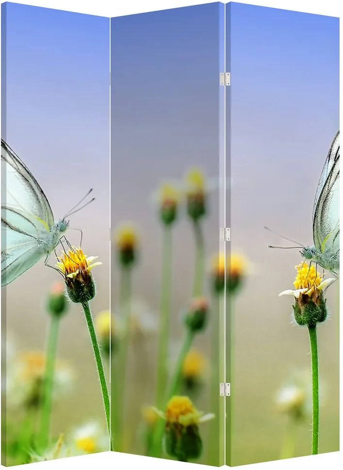 Paravan - Fluture pe floare (126x170 cm)