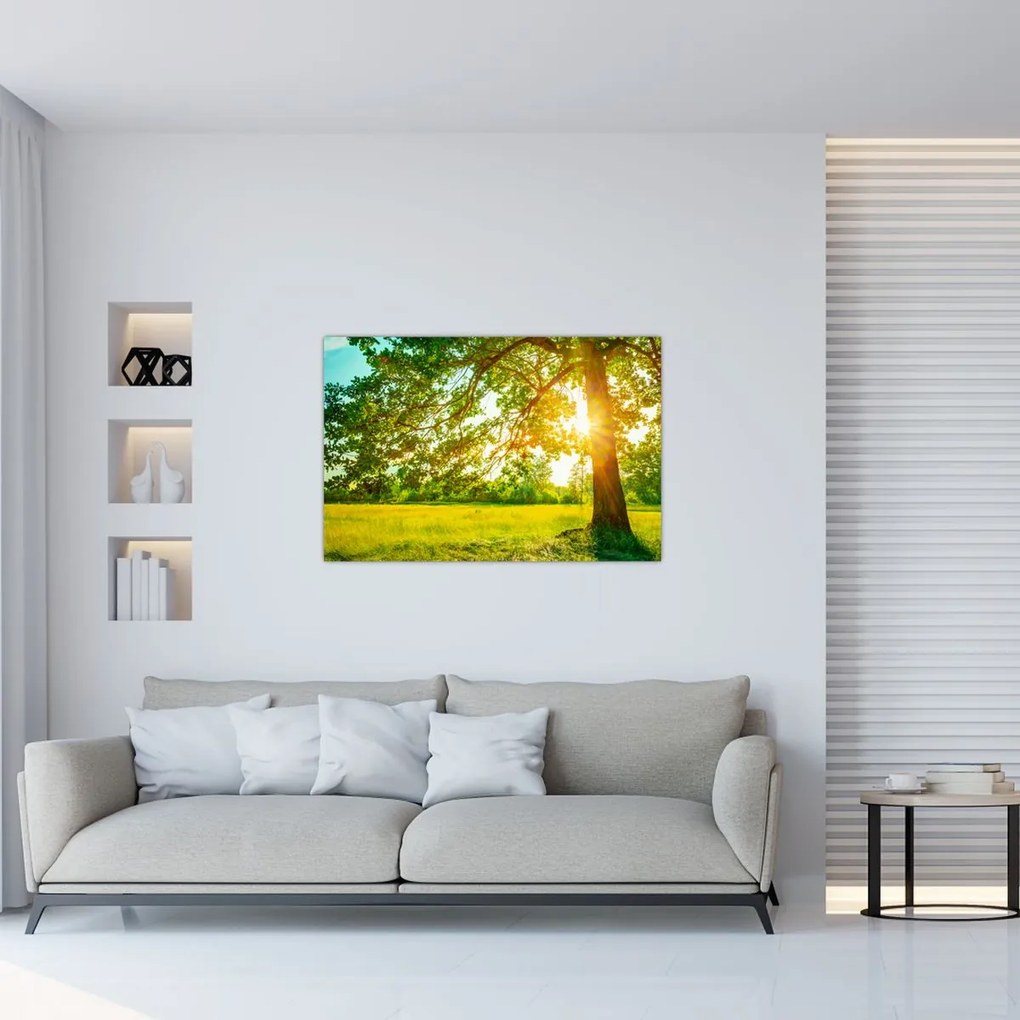 Tablou - Pădurea însorită (90x60 cm)