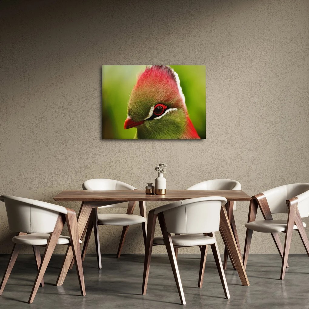 Tablou cu pasărea colorată (70x50 cm)