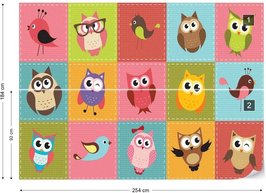 Fototapet GLIX - Kid'S Cartoon Owls + adeziv GRATUIT Tapet nețesute - 254x184 cm