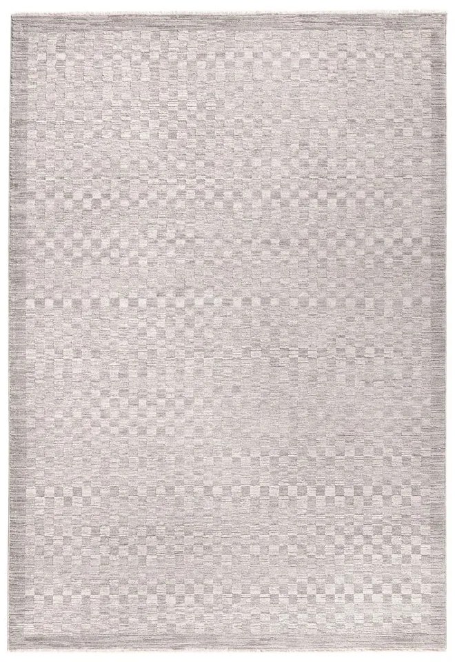 Covor grej 200x300 cm Laurent Grey Silver – Asiatic Carpets