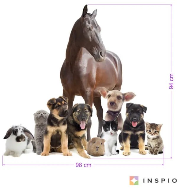 INSPIO Autocolant pentru perete - Iubesc animalele