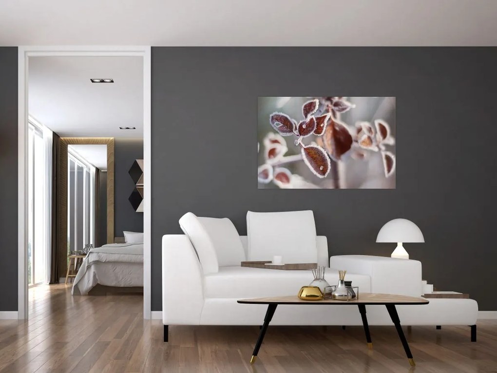 Tablou - Detaliu frunze (90x60 cm)