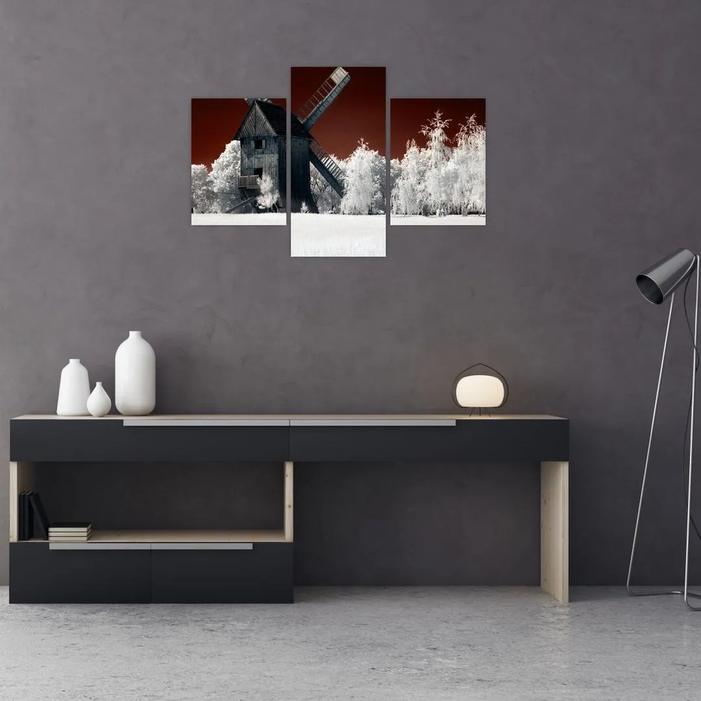 Tablou cu moară (90x60 cm)