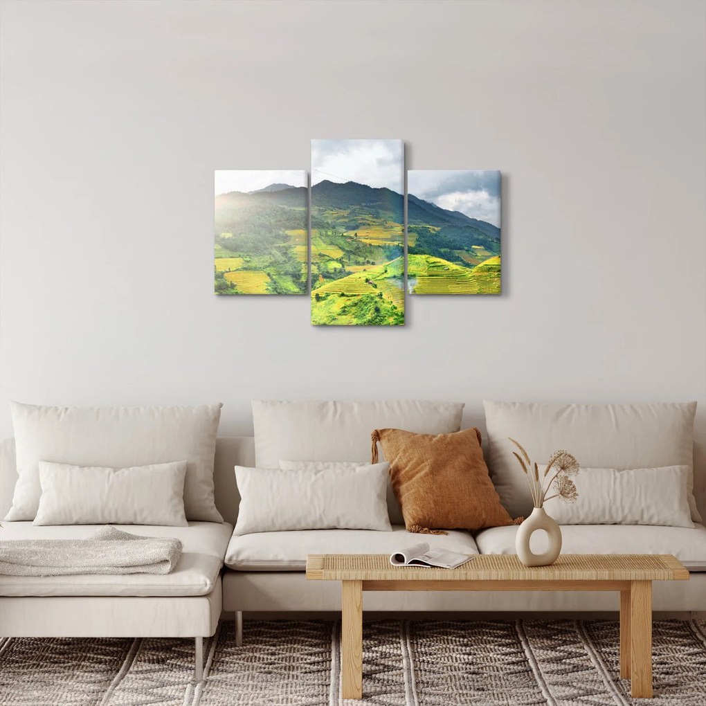 Tablou plantație (90x60 cm)