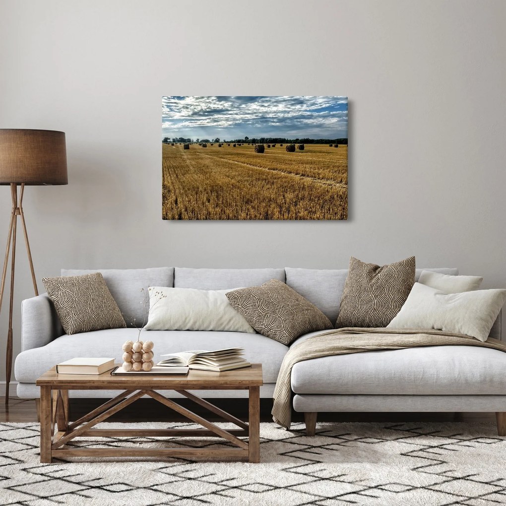 Tablou cu câmp recoltat (90x60 cm)