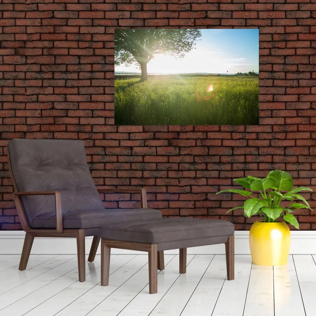 Tablou cu lunca în vară (90x60 cm)