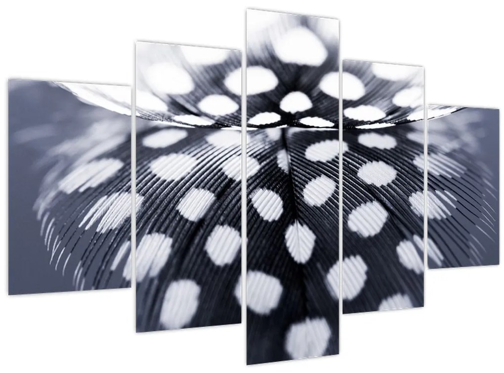 Tablou - Pană (150x105 cm)