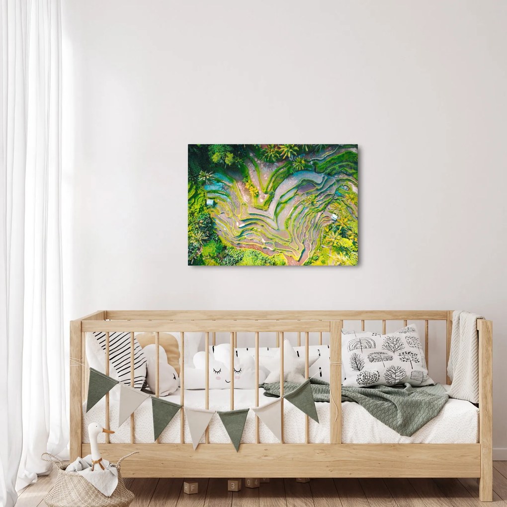Tablou cu lanuri de orez din privire de sus (70x50 cm)