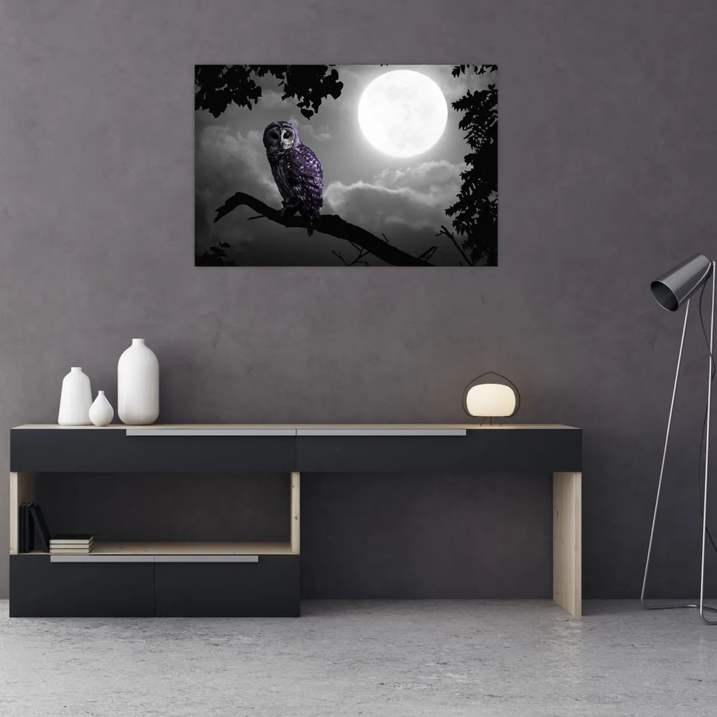 Tablou - Bufniță de noapte, bufniță mov (90x60 cm)