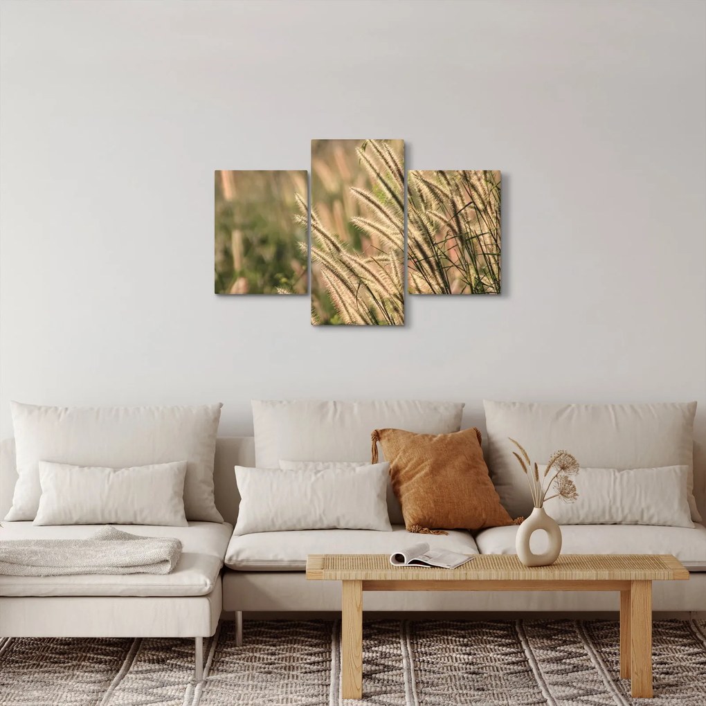 Tablou - Cereale (90x60 cm)