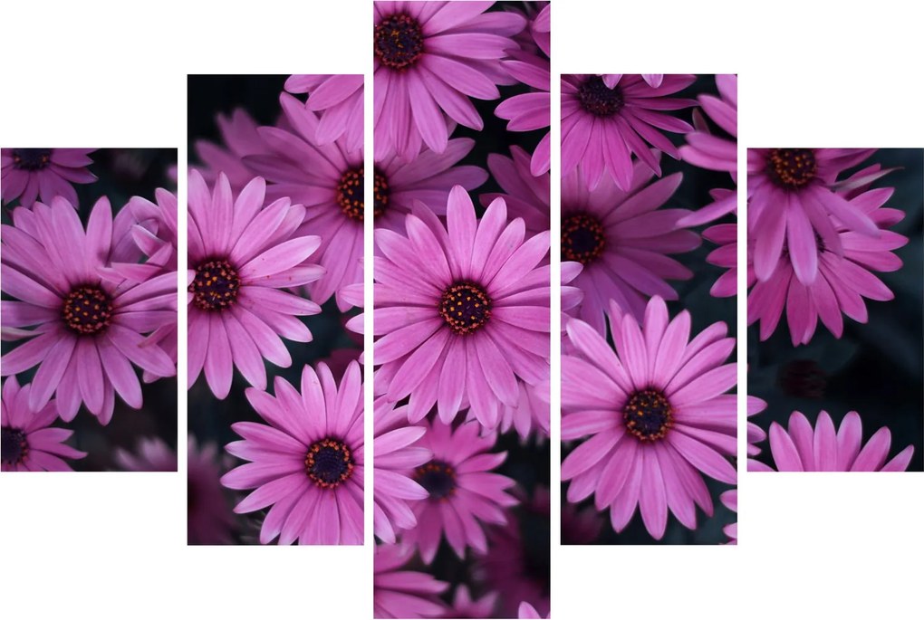 Tablou cu florile roz (150x105 cm)