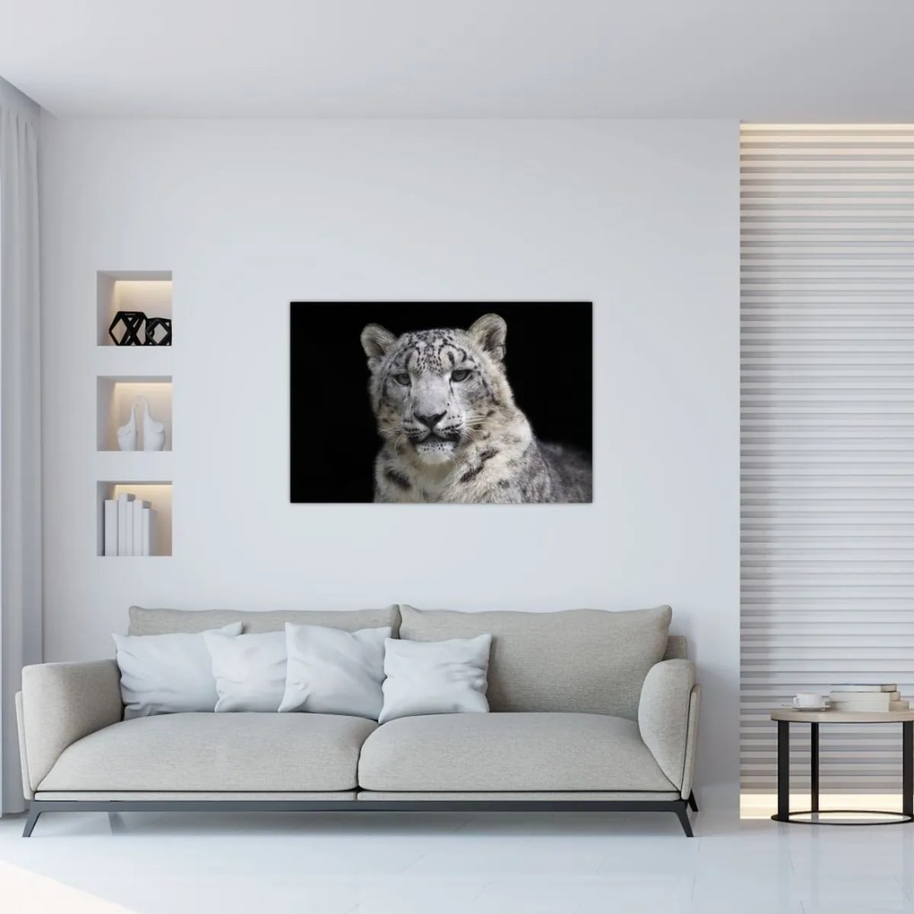 Tablou - Snow Leopard (90x60 cm)