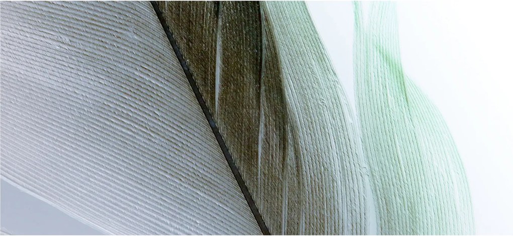 Tablou - Pene, macro (120x50 cm)