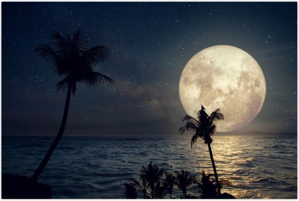 Tablou - Plaja cu lună plină (90x60 cm)