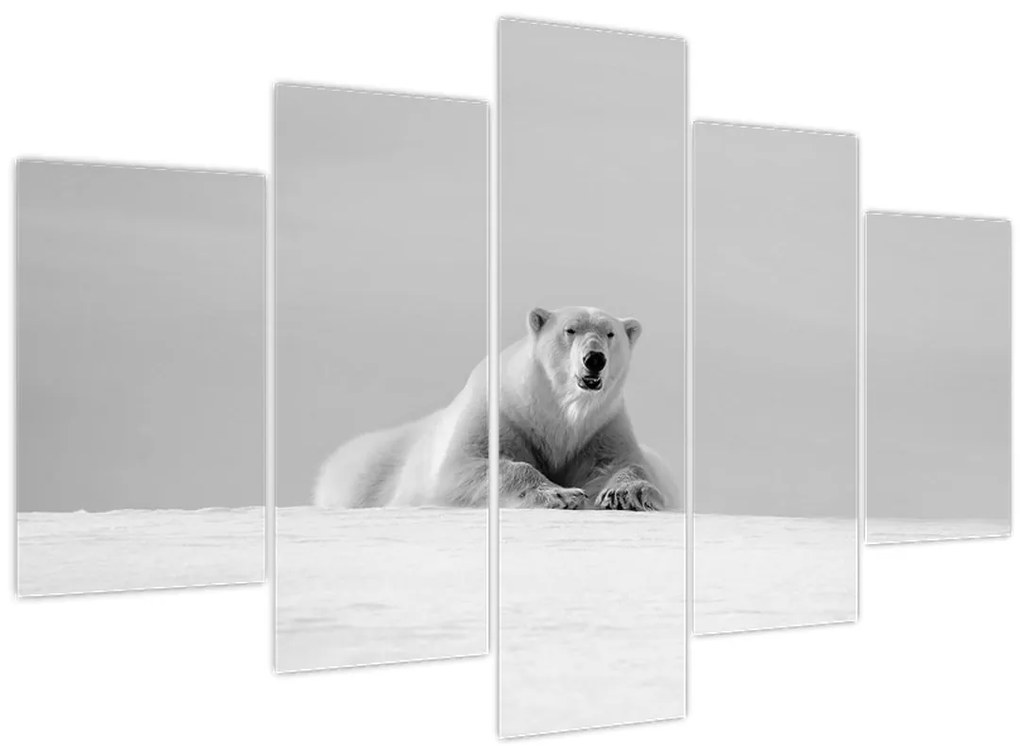 Tablou - Ursul polar (150x105 cm)