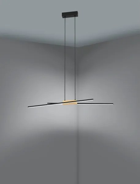 Lustră LED pe cablu dimabilă PANAGRIA 2xLED/13W/230V Eglo 900489