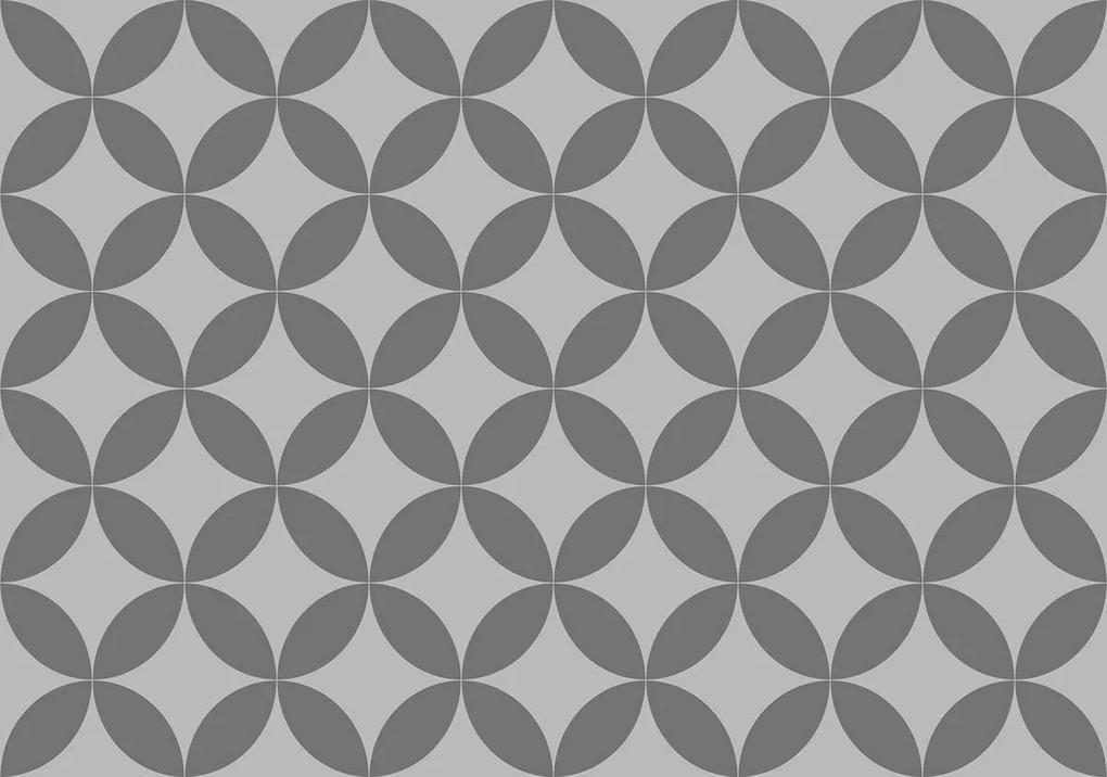 Fototapet - Cercuri gri (152,5x104 cm), în 8 de alte dimensiuni noi