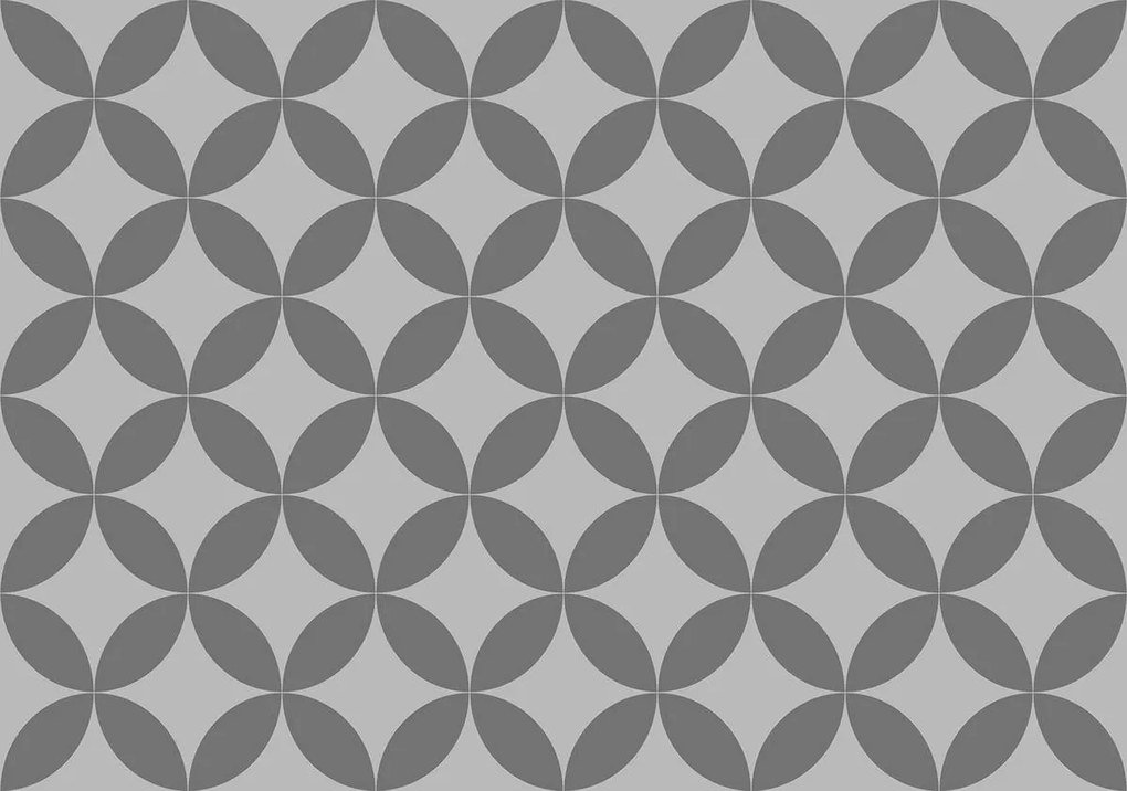 Fototapet - Cercuri gri (254x184 cm), în 8 de alte dimensiuni noi
