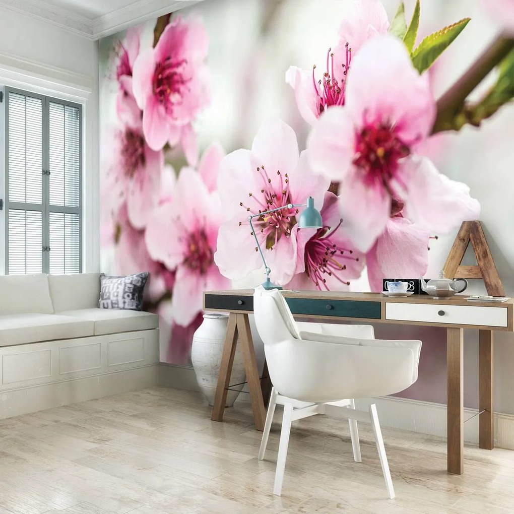Fototapet - Flori (152,5x104 cm)