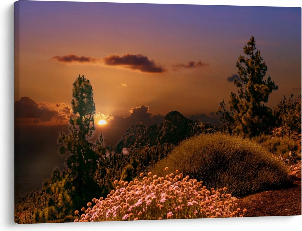 Tablou naturii cu apus de soare (70x50 cm)