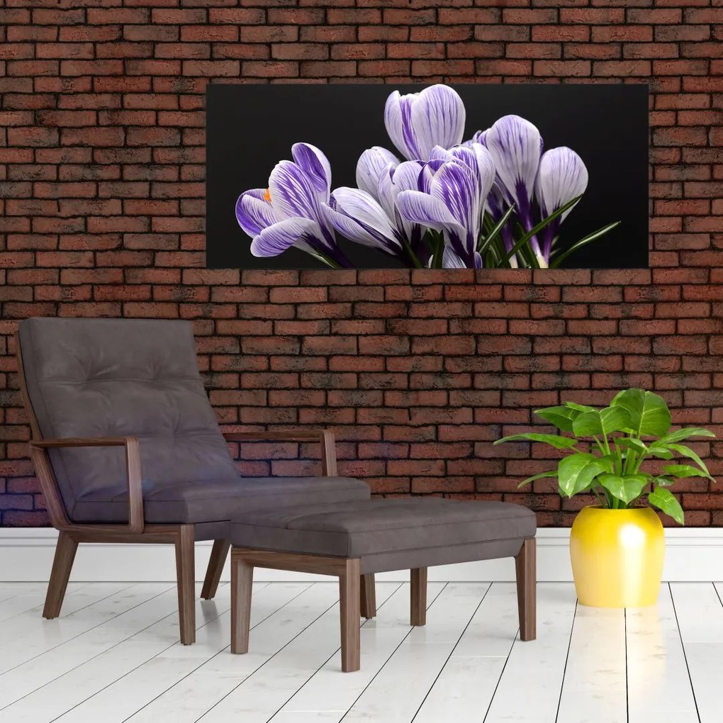 Tablou - Crocus violet (120x50 cm)